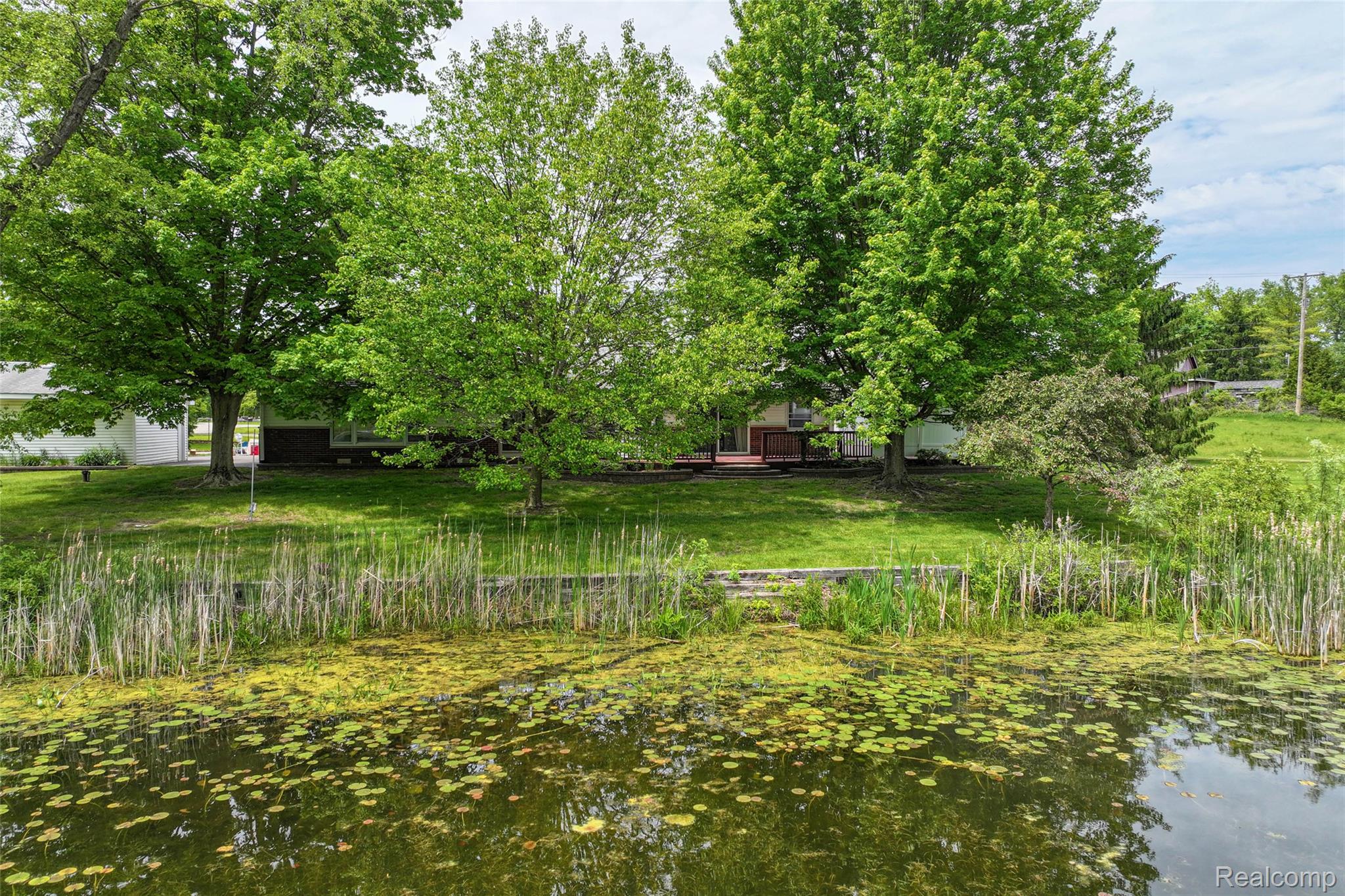 422 East Road Holly, MI 48442 - Photo 15 of 51 Lush green landscape featuring mature trees and a tranquil pond with lily pads and natural reeds