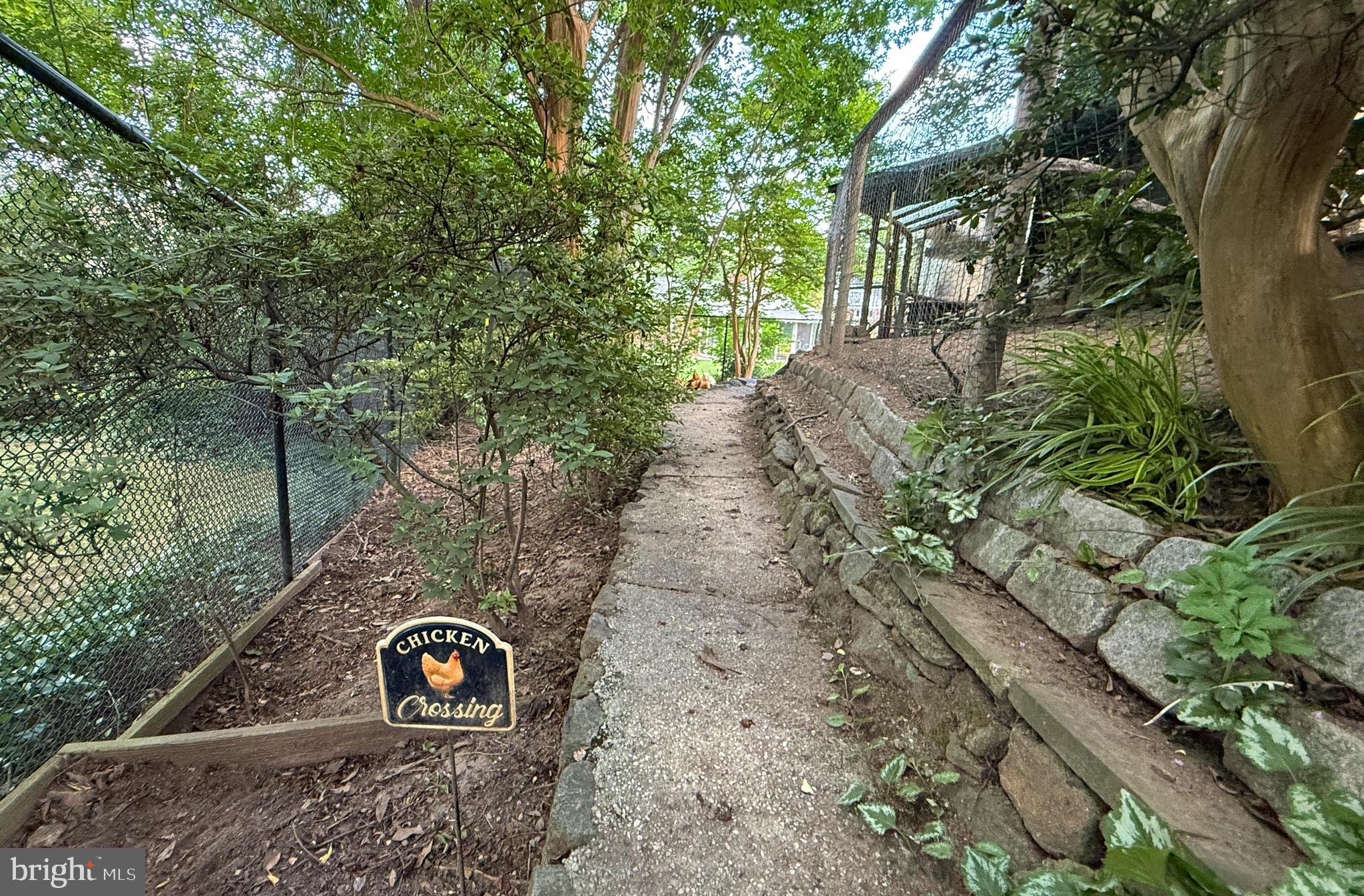 406 Belton Road Silver Spring, MD 20901 - Photo 36 of 36 Tiered area for gardening