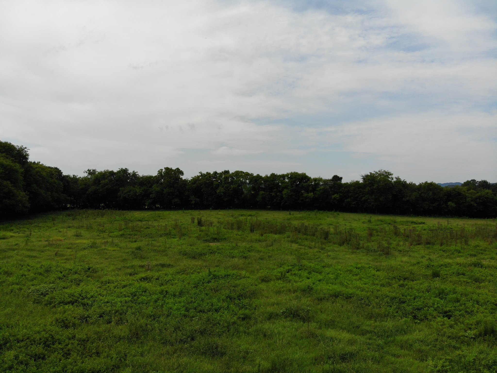 3 North Chapel Road Franklin, TN 37067 - Photo 18 of 19 a view of an ocean from a yard