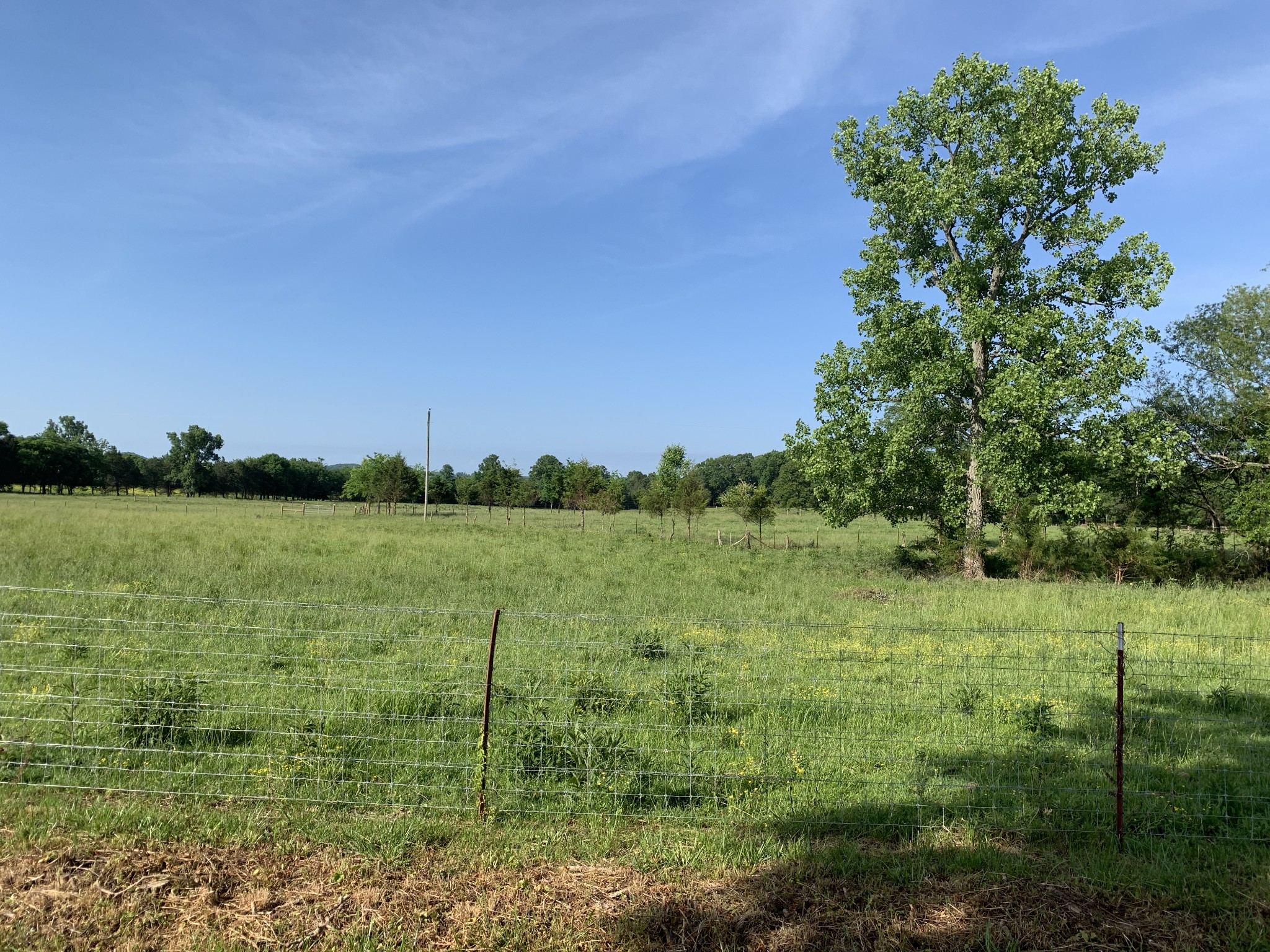 3 North Chapel Road Franklin, TN 37067 - Photo 5 of 19 a view of a lake with a big yard