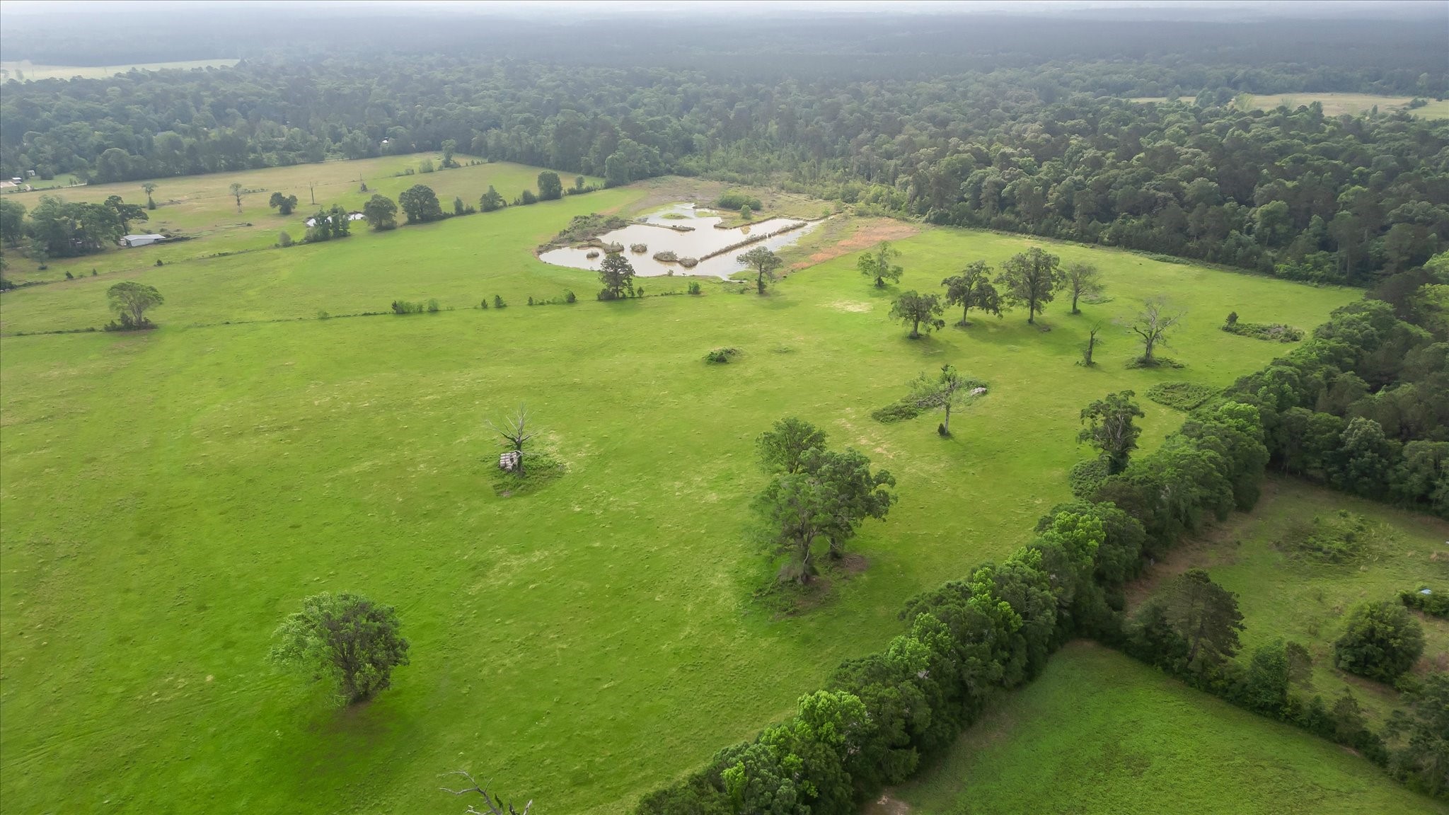 2760 Stringtown Road Shepherd, TX 77371 - Photo 12 of 46