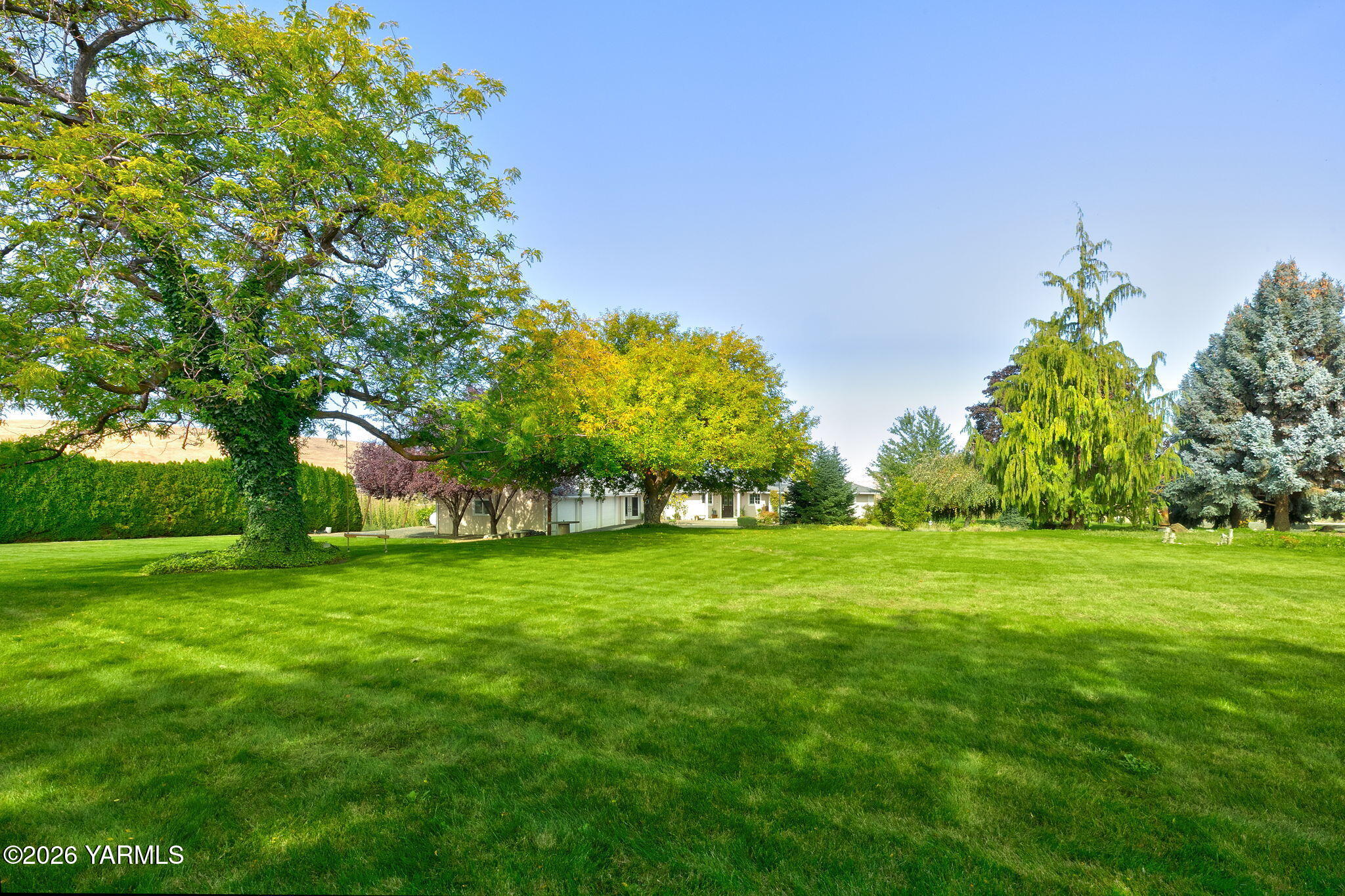 Beautiful Yard