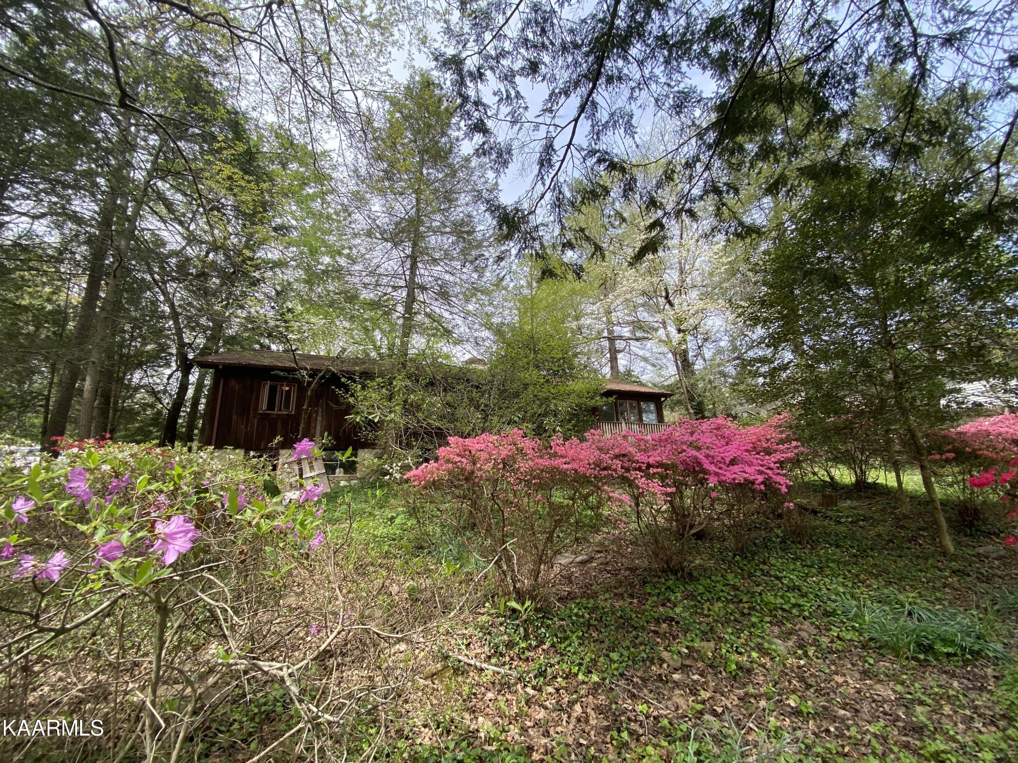 303 West Fernhill Road Oak Ridge, TN 37830 - Photo 6 of 26