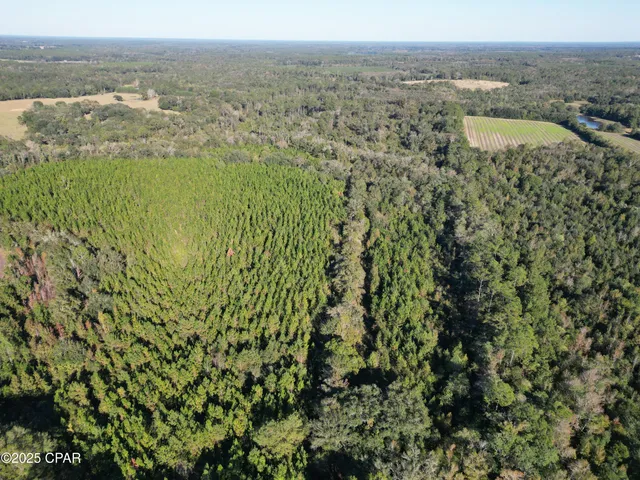 $339,000 | 0 Arrant Road, Westville, FL 32464