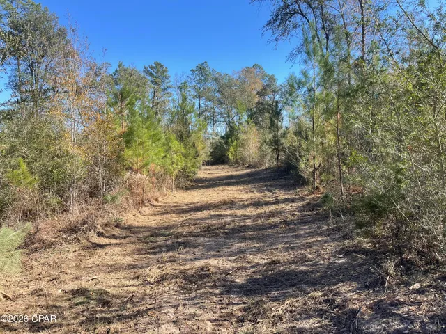 $339,000 | 0 Arrant Road, Westville, FL 32464