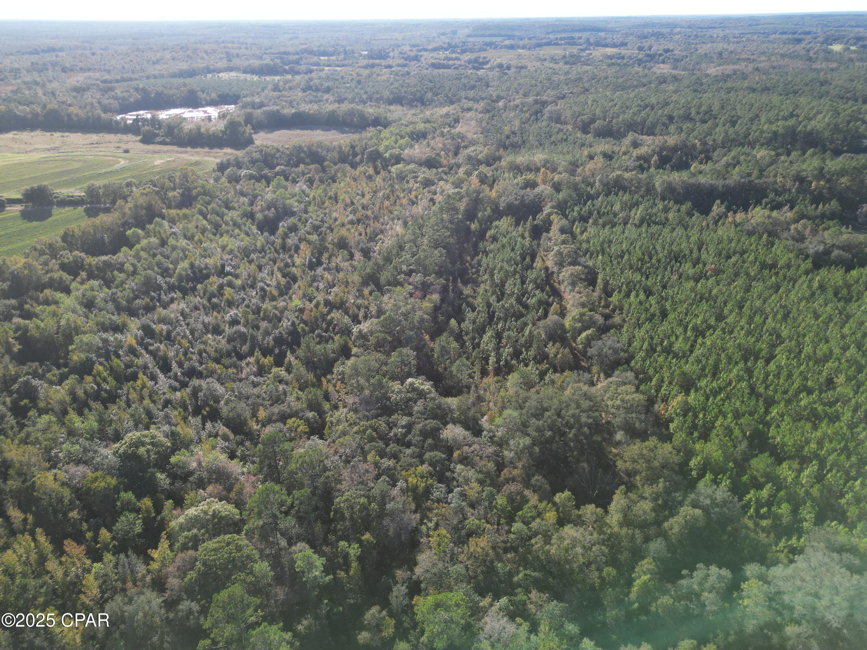 0 Arrant Road Westville, FL 32464 - Photo 12 of 24