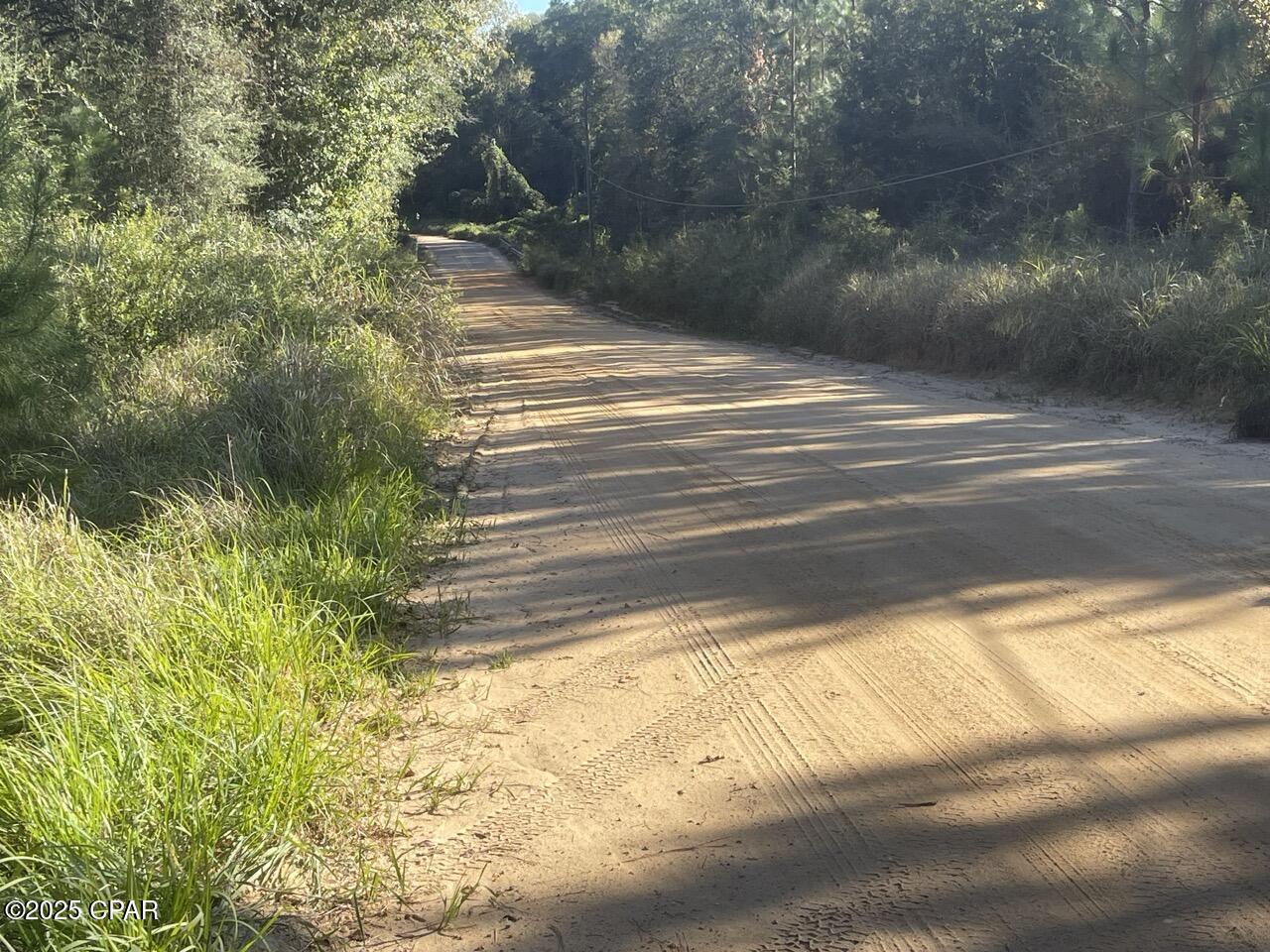 0 Arrant Road Westville, FL 32464 - Photo 14 of 28