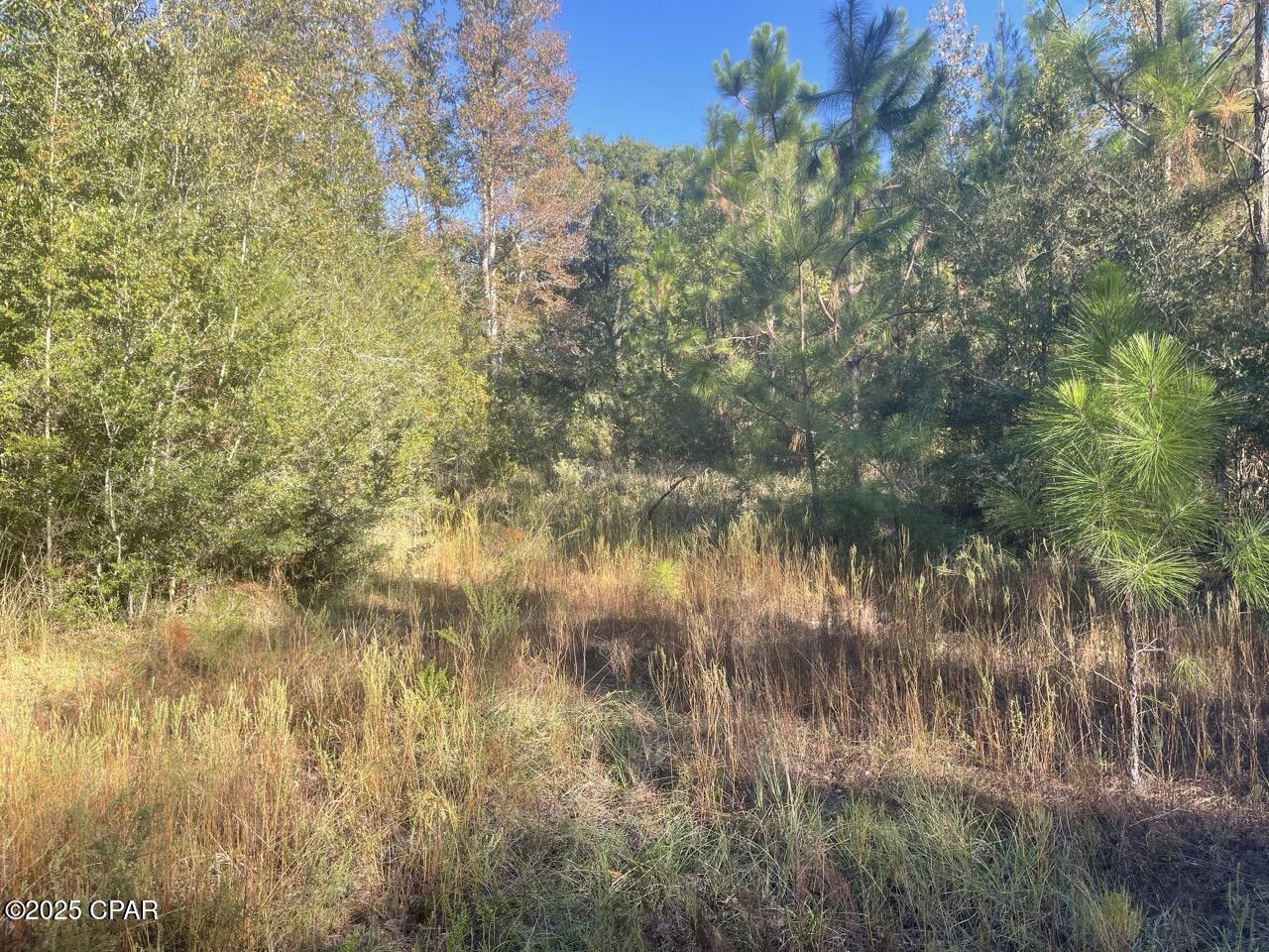 0 Arrant Road Westville, FL 32464 - Photo 16 of 28