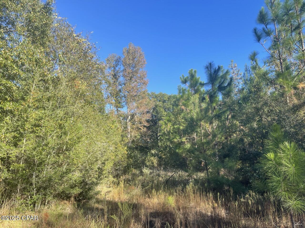 0 Arrant Road Westville, FL 32464 - Photo 17 of 28