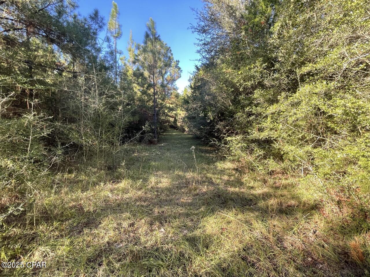 0 Arrant Road Westville, FL 32464 - Photo 19 of 24