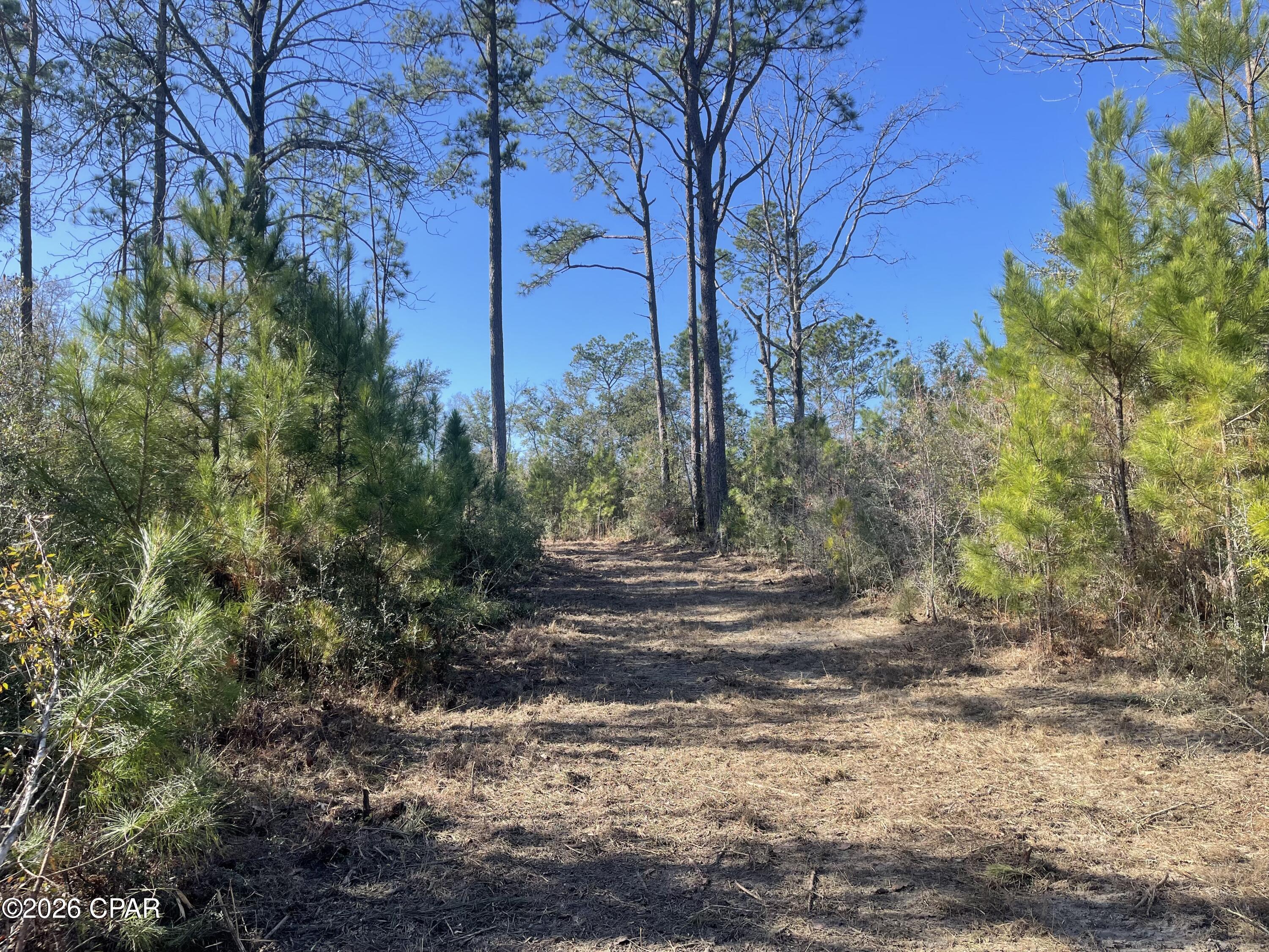 0 Arrant Road Westville, FL 32464 - Photo 19 of 28