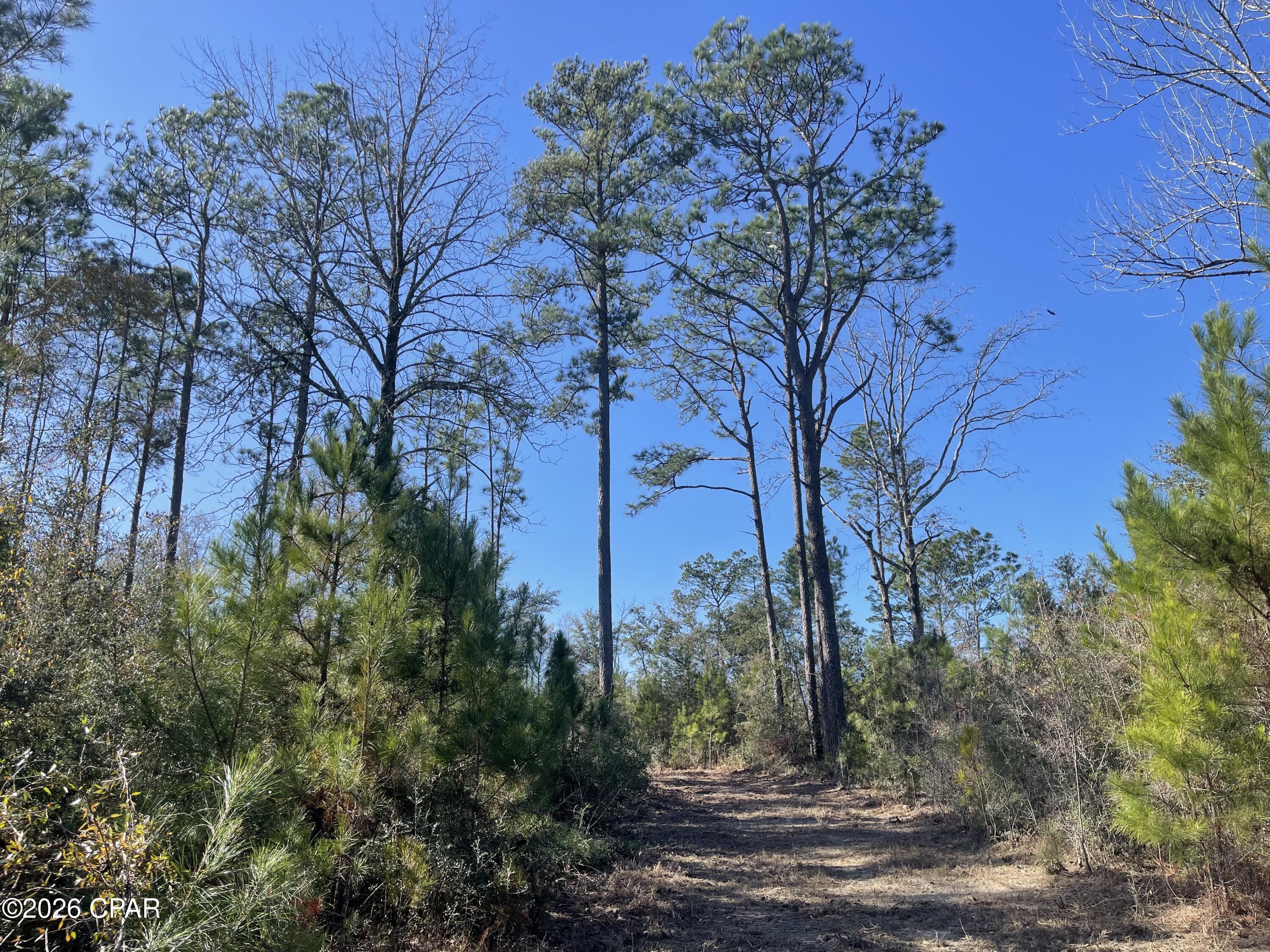 0 Arrant Road Westville, FL 32464 - Photo 20 of 28