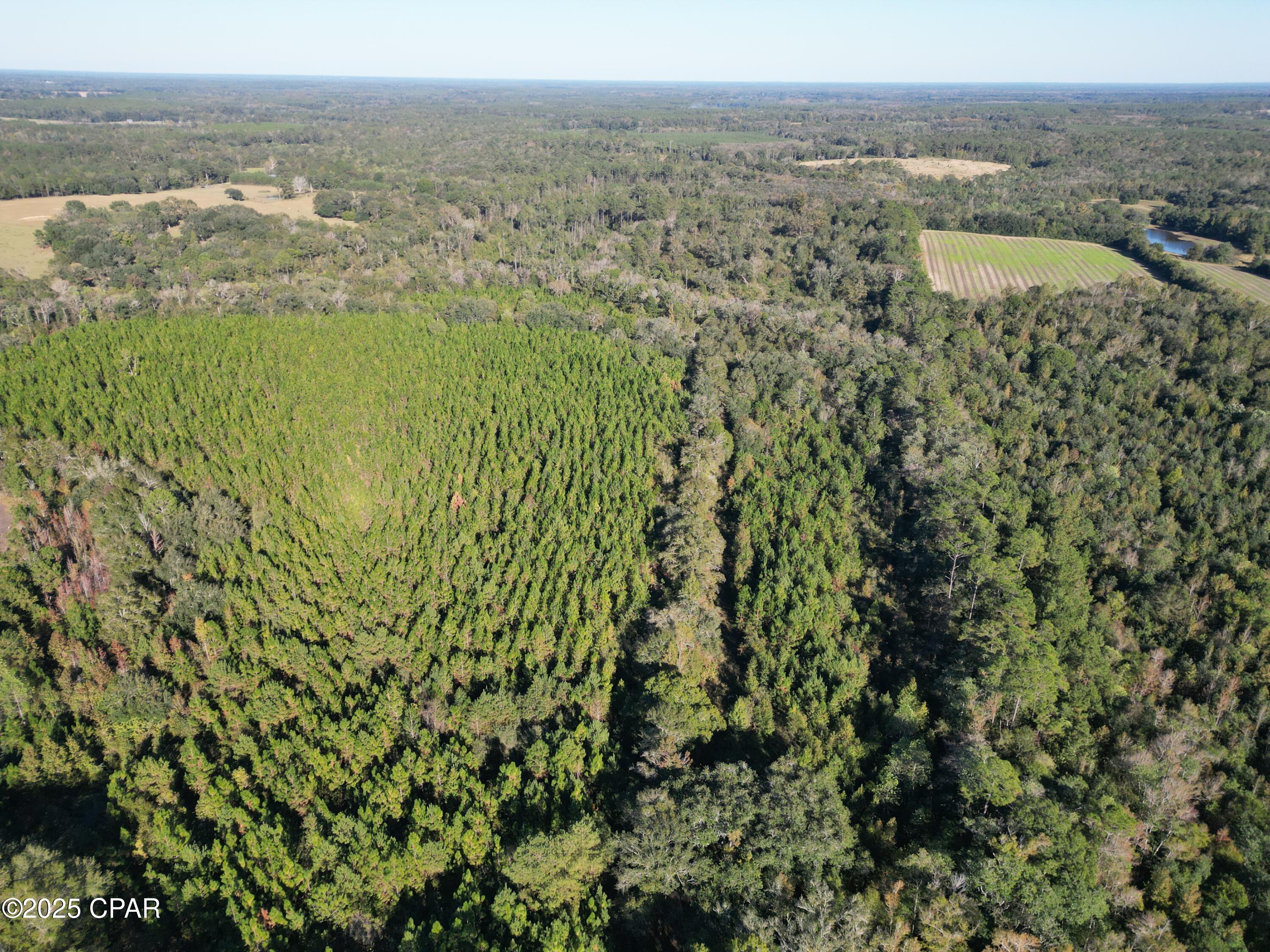 0 Arrant Road Westville, FL 32464 - Photo 2 of 28