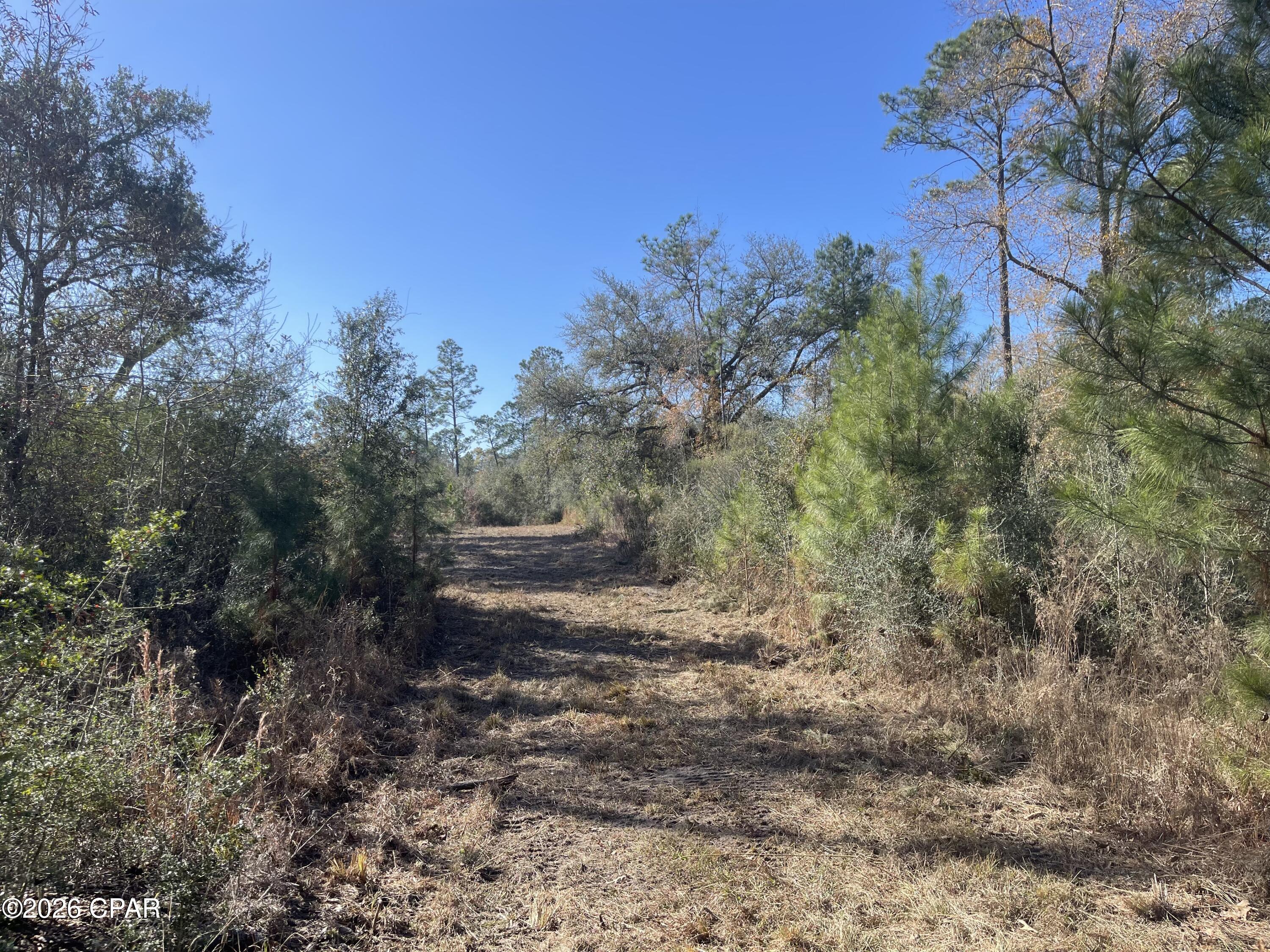 0 Arrant Road Westville, FL 32464 - Photo 21 of 28