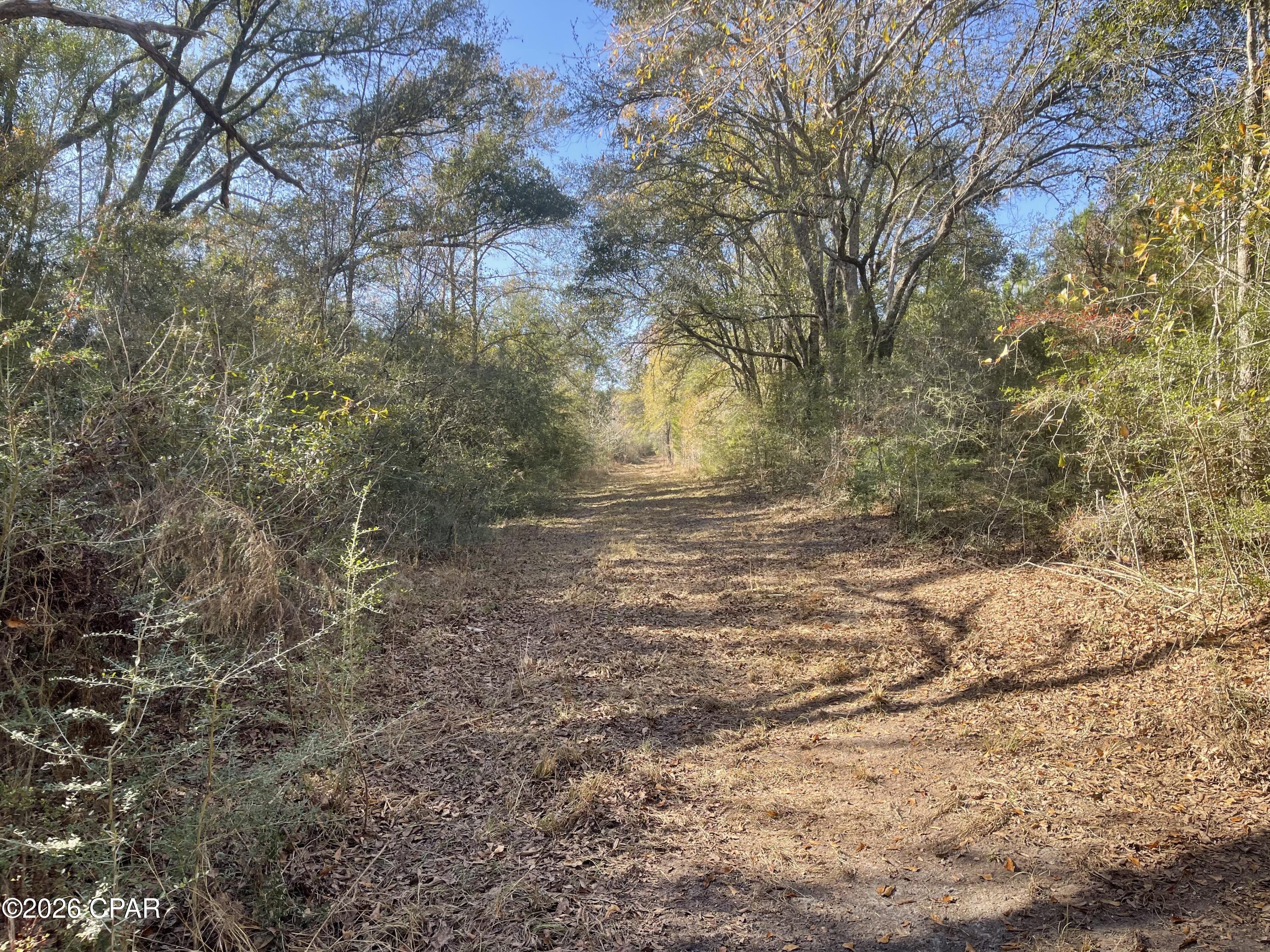 0 Arrant Road Westville, FL 32464 - Photo 23 of 28
