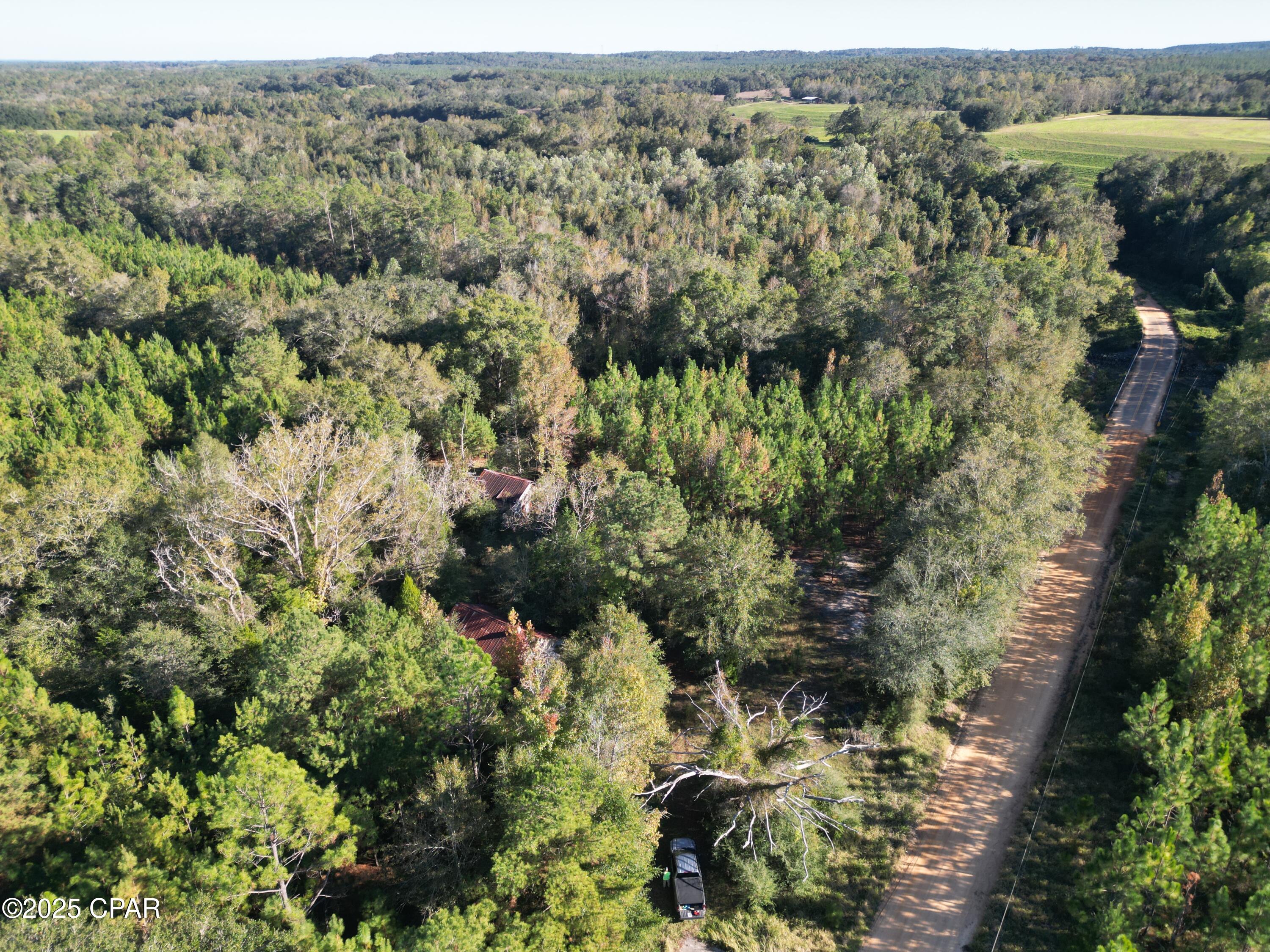 0 Arrant Road Westville, FL 32464 - Photo 3 of 28