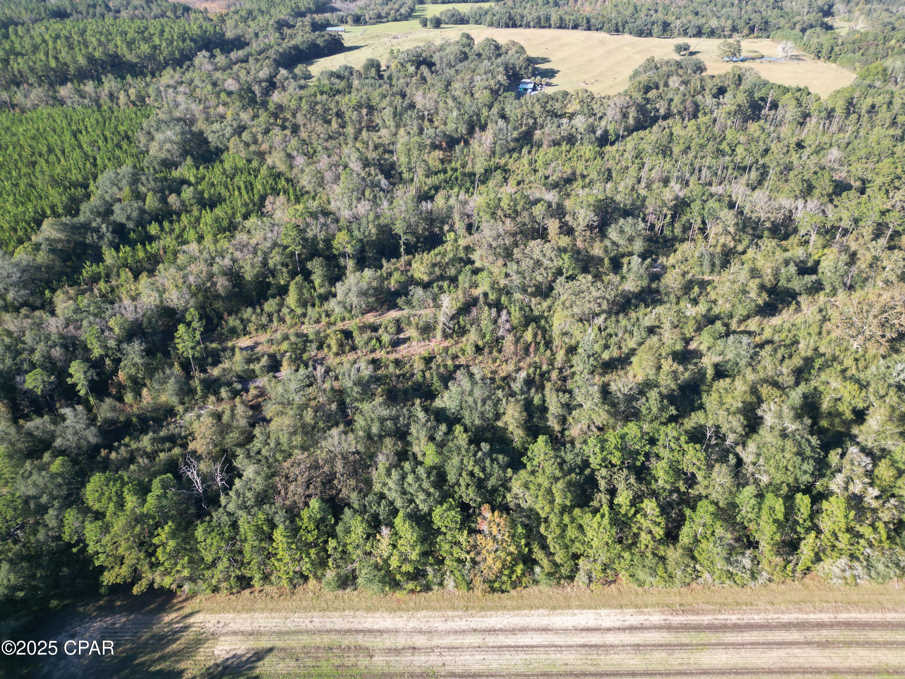 0 Arrant Road Westville, FL 32464 - Photo 5 of 24