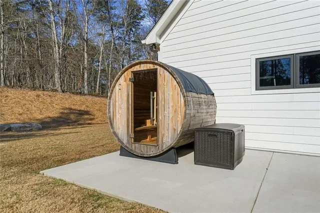 a view of a forest with a tree