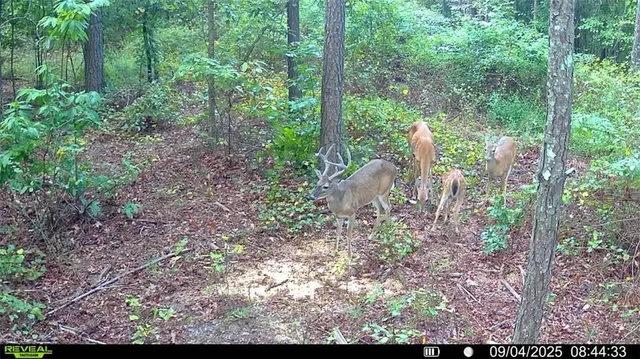 $1,299,900 | 850 Land Road, Canton, GA 30114