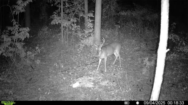 $1,299,900 | 850 Land Road, Canton, GA 30114