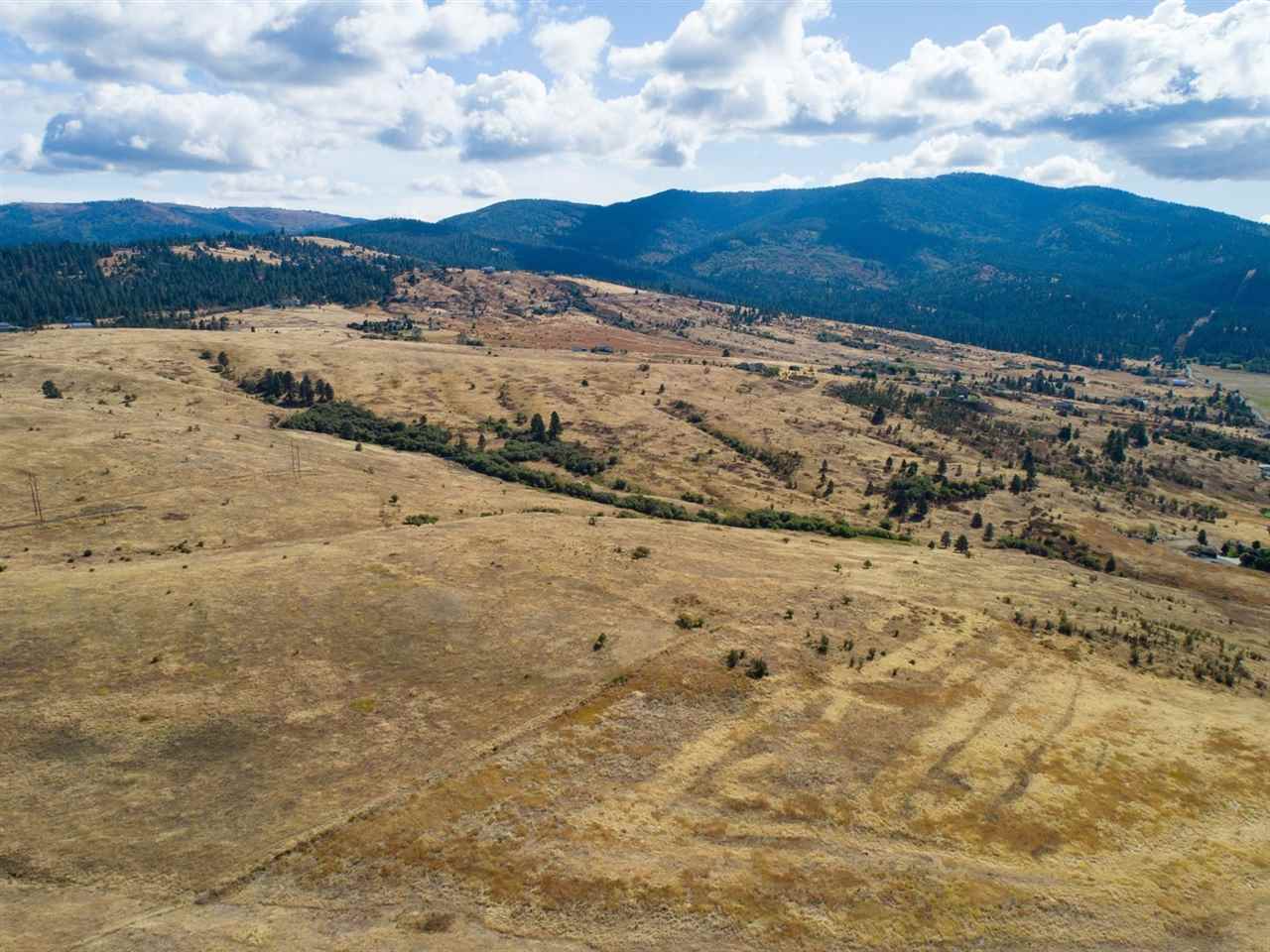 Lot 9 South Molter Road Liberty Lake, WA 99019 - Photo 1 of 13