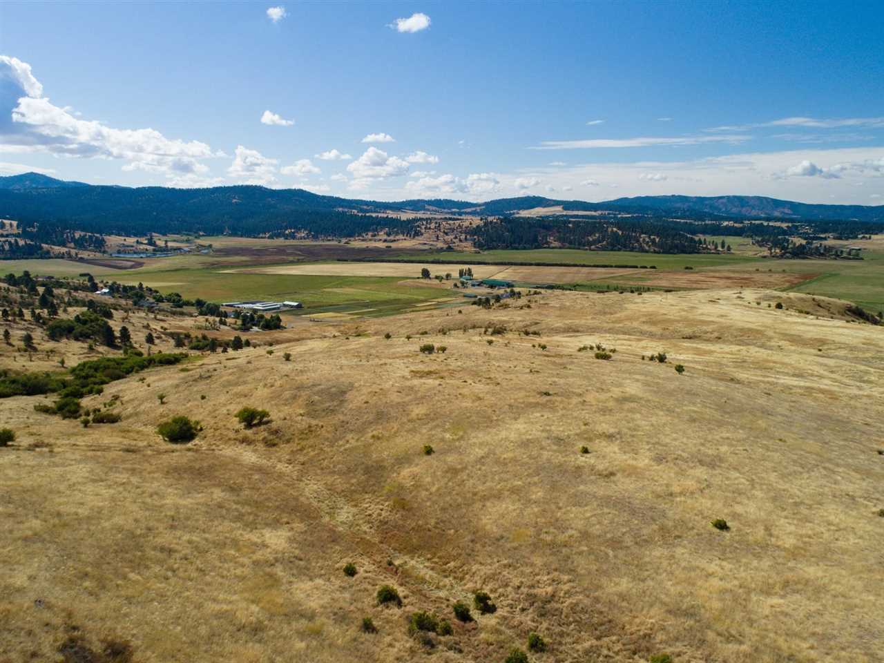 Lot 9 South Molter Road Liberty Lake, WA 99019 - Photo 12 of 13
