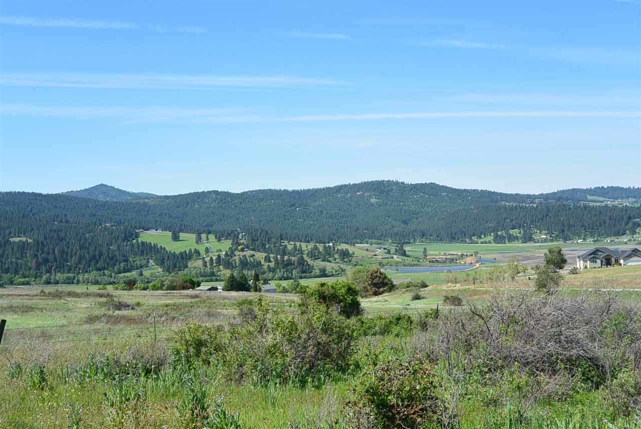 Lot 9 South Molter Road Liberty Lake, WA 99019 - Photo 4 of 13