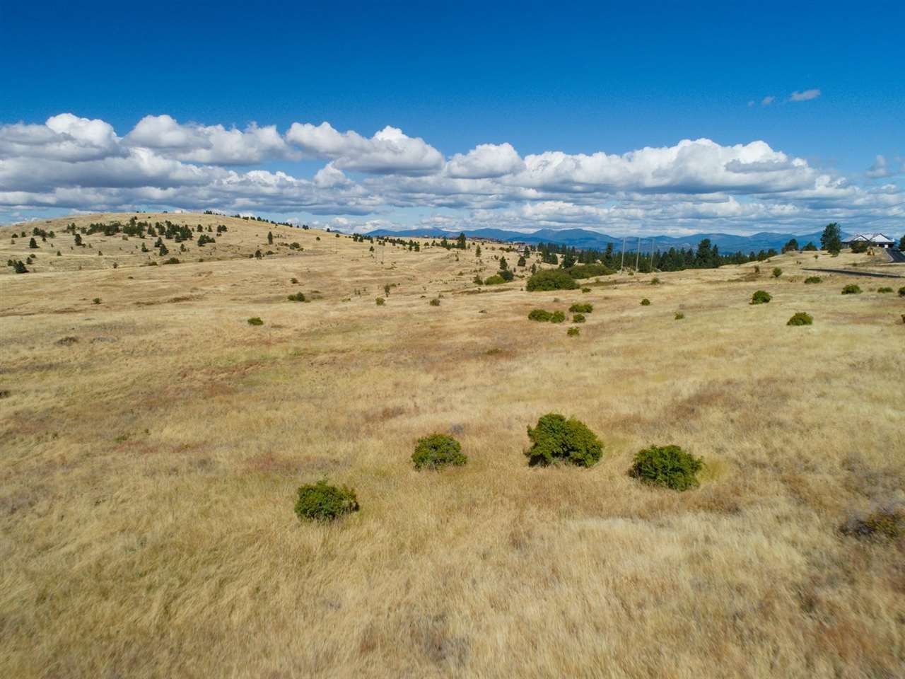 Lot 9 South Molter Road Liberty Lake, WA 99019 - Photo 5 of 13