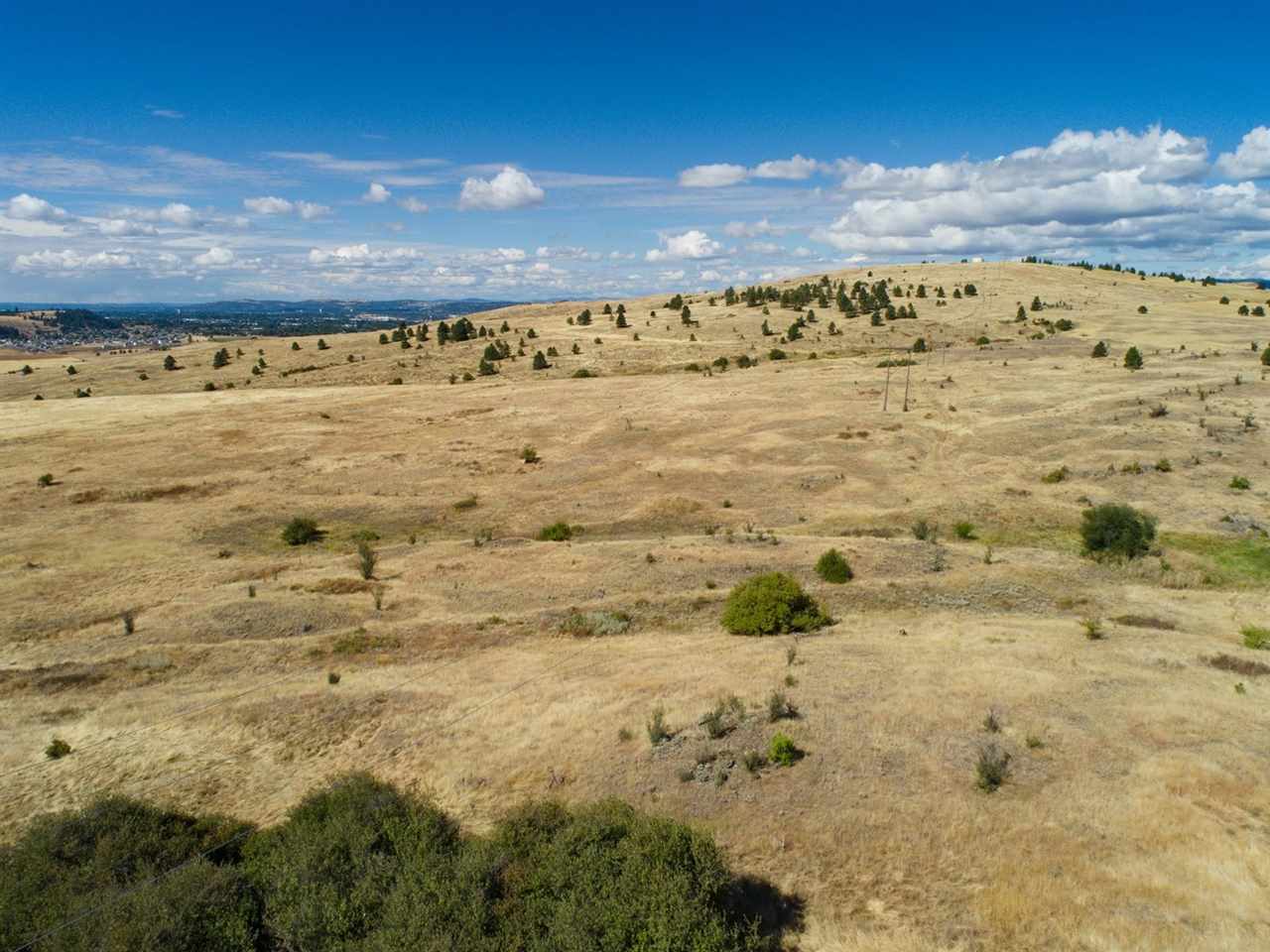 Lot 9 South Molter Road Liberty Lake, WA 99019 - Photo 7 of 13