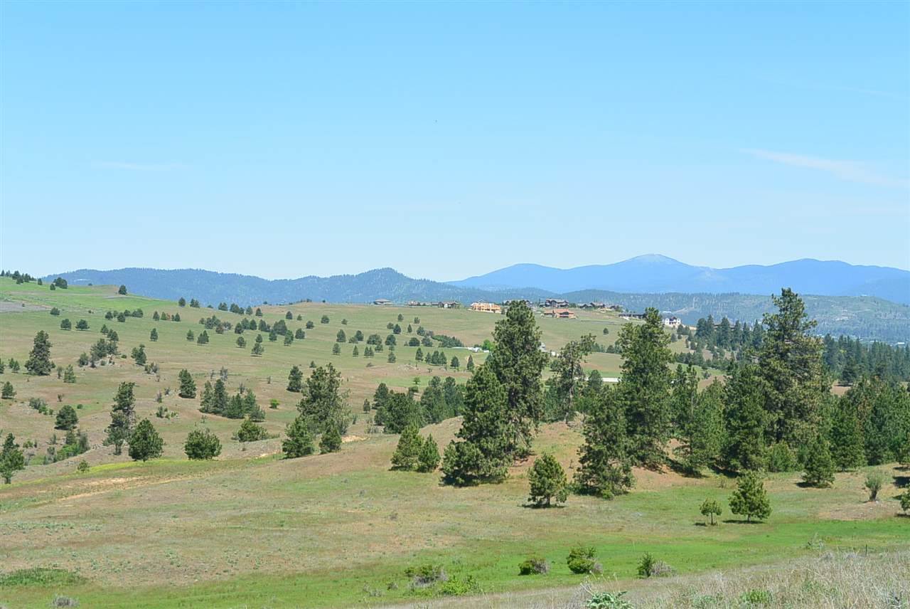 Lot 9 South Molter Road Liberty Lake, WA 99019 - Photo 9 of 13