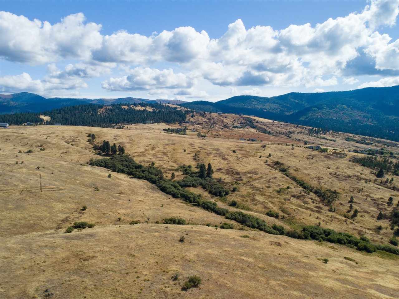 Lot 9 South Molter Road Liberty Lake, WA 99019 - Photo 10 of 13