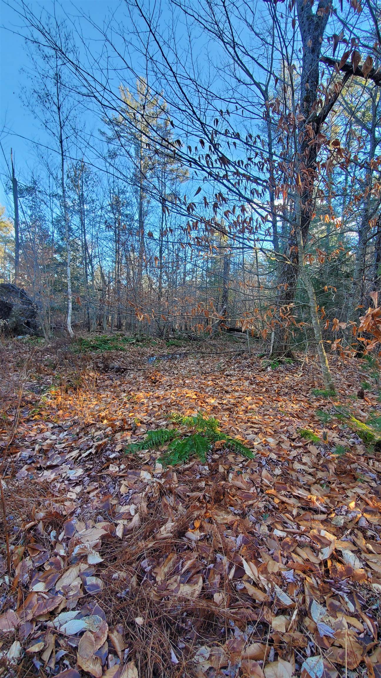 1481 Flamstead Road Chester, VT 05143 - Photo 11 of 16