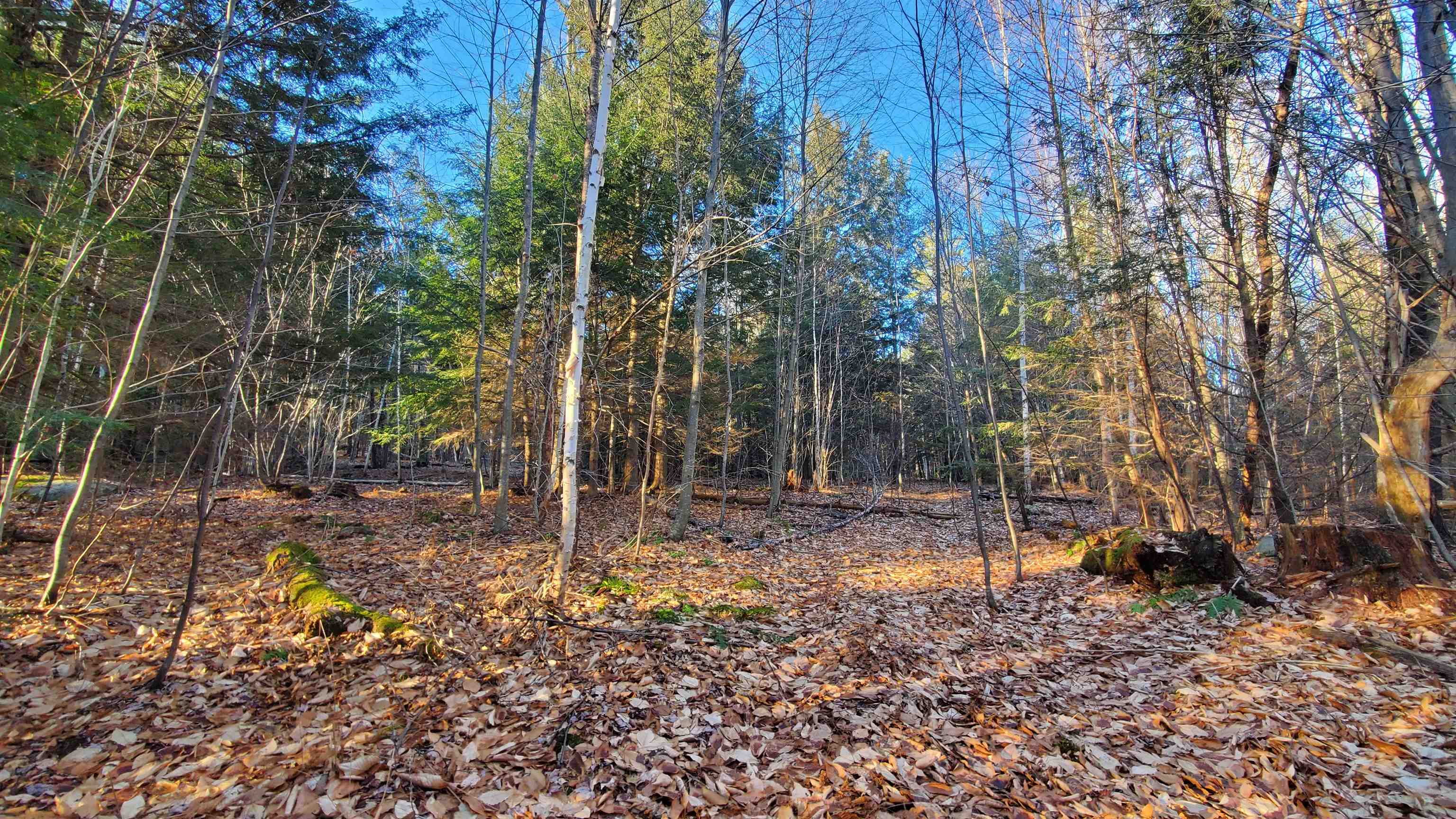 1481 Flamstead Road Chester, VT 05143 - Photo 13 of 16