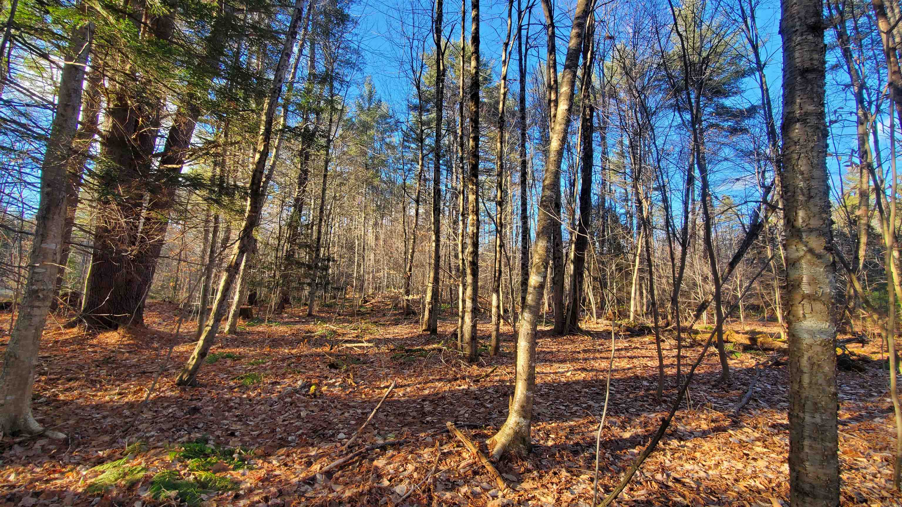 1481 Flamstead Road Chester, VT 05143 - Photo 10 of 16