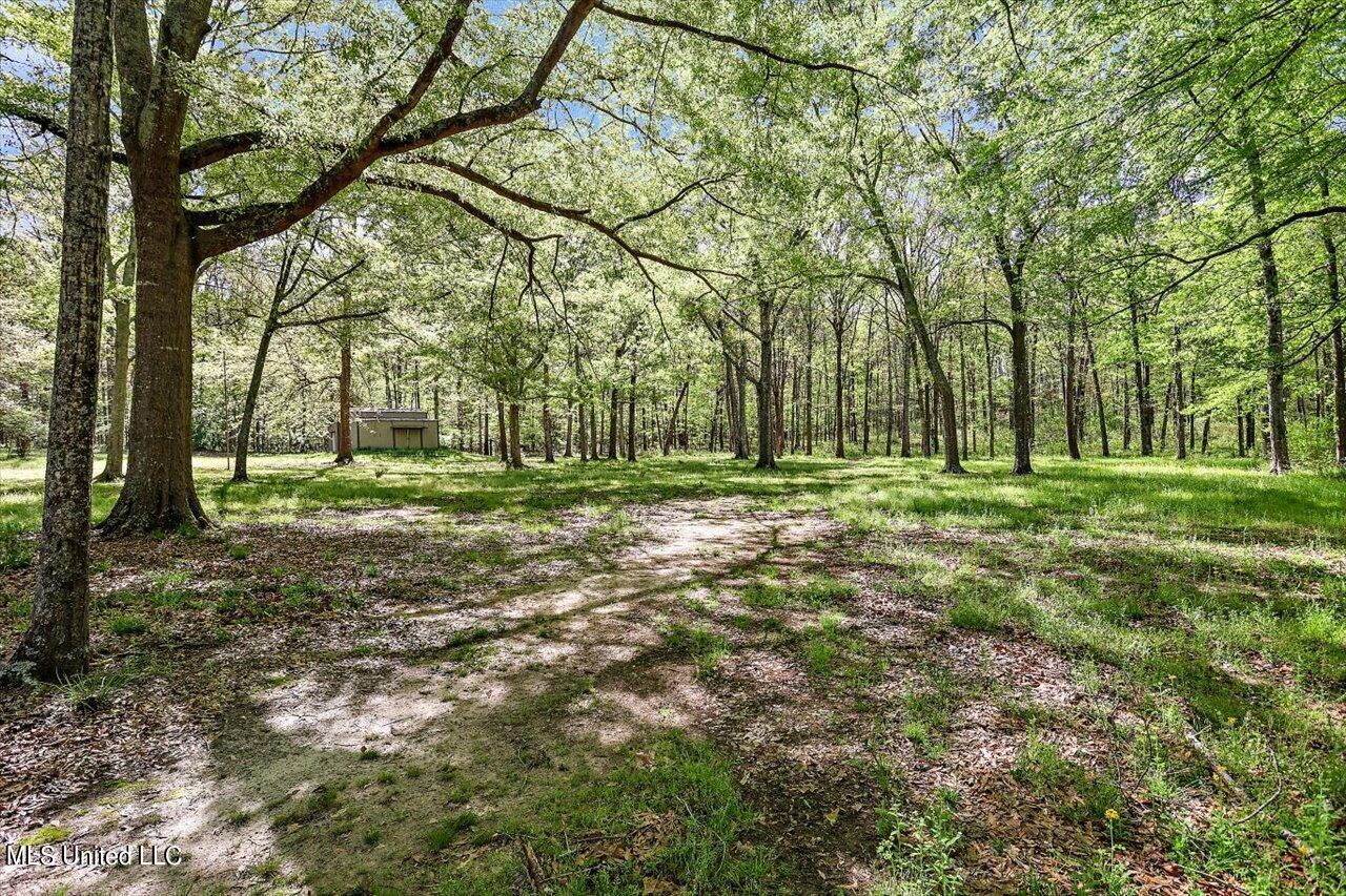 947 Lindsey Road Morton, MS 39117 - Photo 73 of 91 71-947 Lindsey Rd