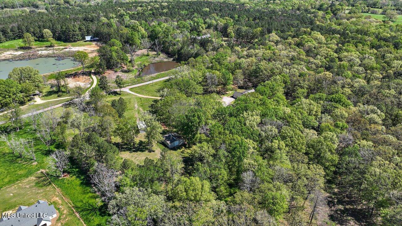 947 Lindsey Road Morton, MS 39117 - Photo 84 of 91 84-947 Lindsey Rd