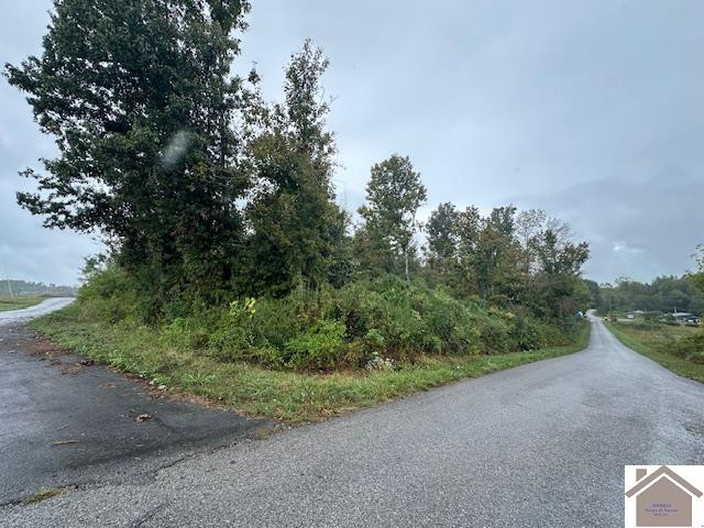 0 Galloway Road Dawson Springs, KY 42408 - Photo 5 of 6 Photo 5