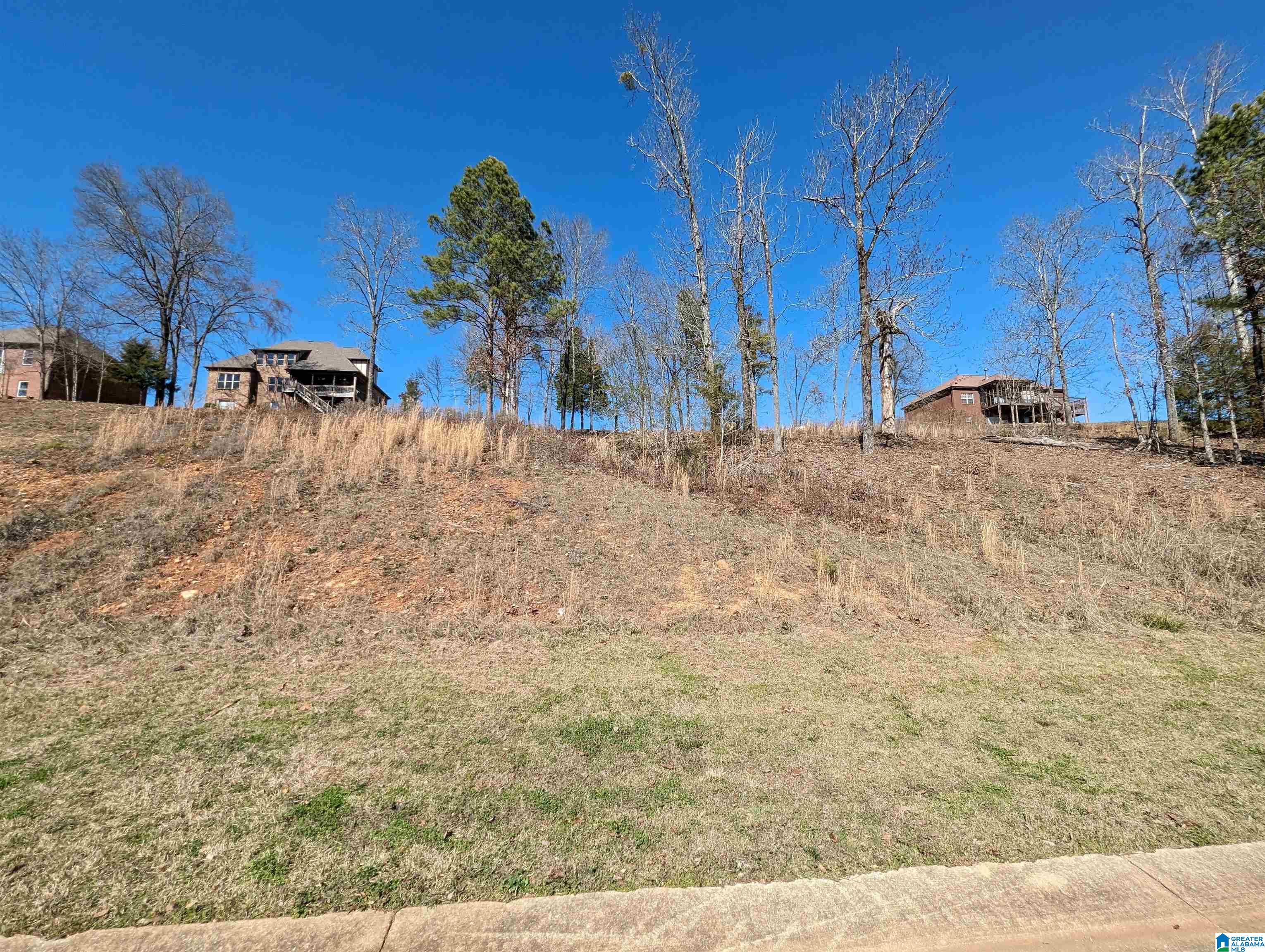0 Overlook Ridge Lincoln, AL 35096 - Photo 24 of 33