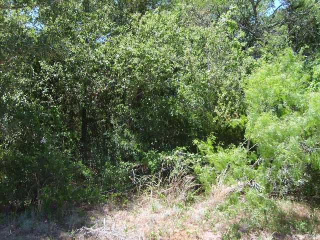 264 Smith Road Bastrop, TX 78602 - Photo 1 of 1 Land/Lot : VIEW OF FRONT OF LOT