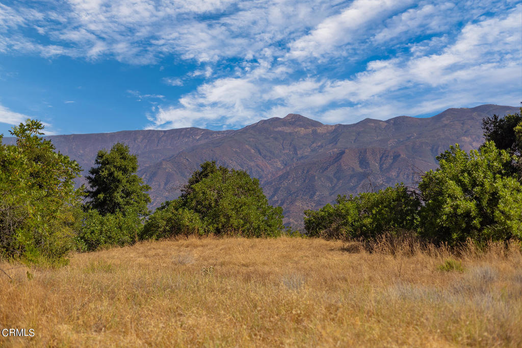 10331 Sulphur Mountain Road Ojai, CA 93023 - Photo 11 of 22 a view of a bunch of trees and bushes