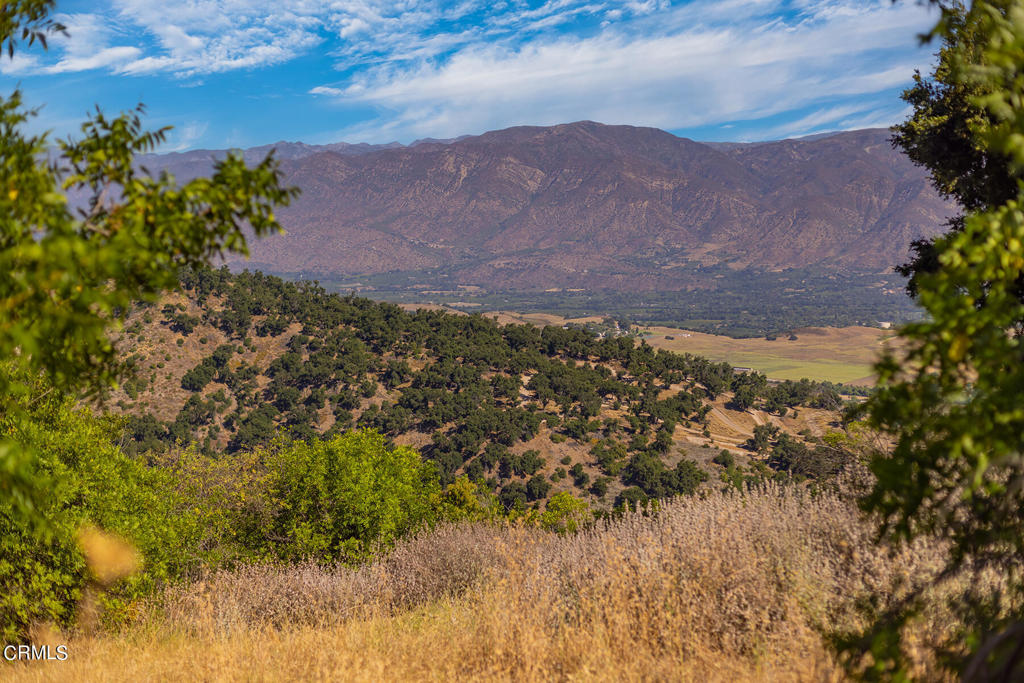 10331 Sulphur Mountain Road Ojai, CA 93023 - Photo 13 of 22 a view of a yard with a mountain