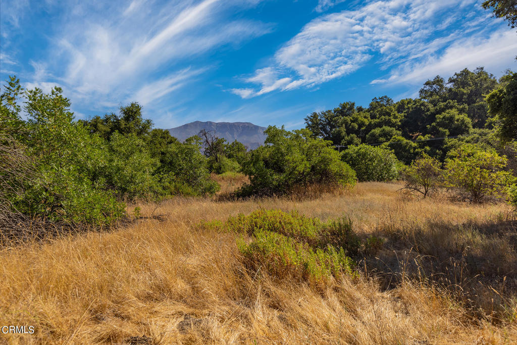 10331 Sulphur Mountain Road Ojai, CA 93023 - Photo 19 of 22 a view of a yard with a tree