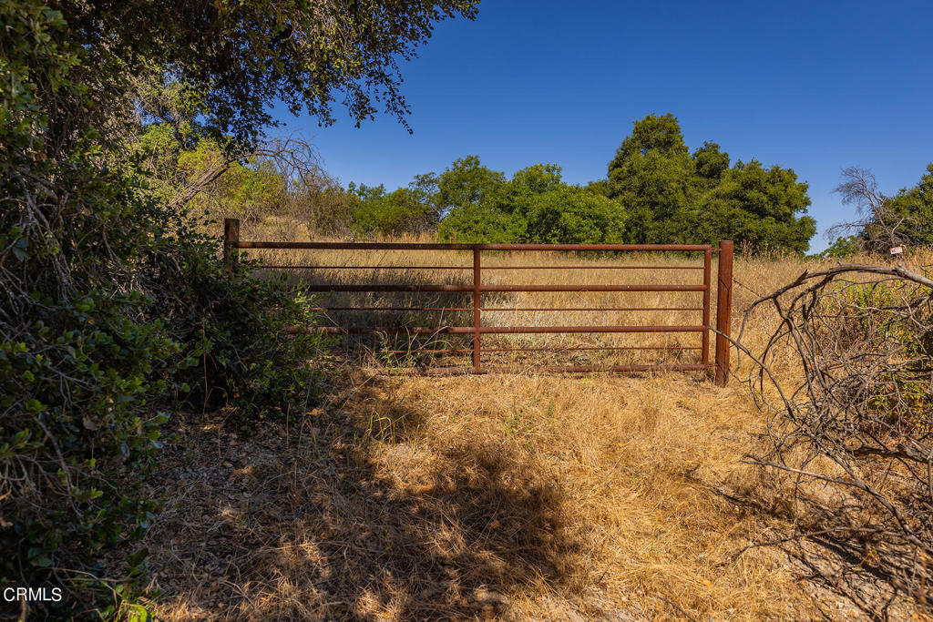 10331 Sulphur Mountain Road Ojai, CA 93023 - Photo 20 of 22 a view of a yard