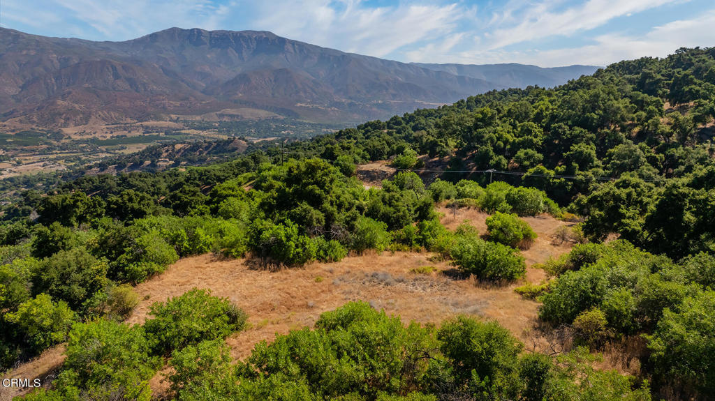 10331 Sulphur Mountain Road Ojai, CA 93023 - Photo 2 of 22 a view of a backyard with a garden