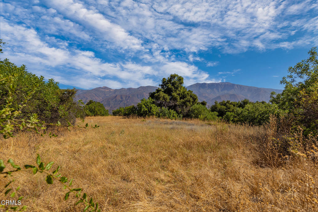 10331 Sulphur Mountain Road Ojai, CA 93023 - Photo 9 of 22 a view of a yard