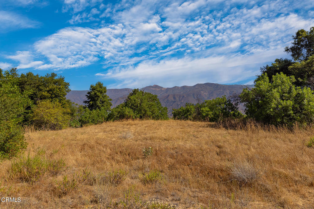 10331 Sulphur Mountain Road Ojai, CA 93023 - Photo 10 of 22 a view of a lake in middle of the forest