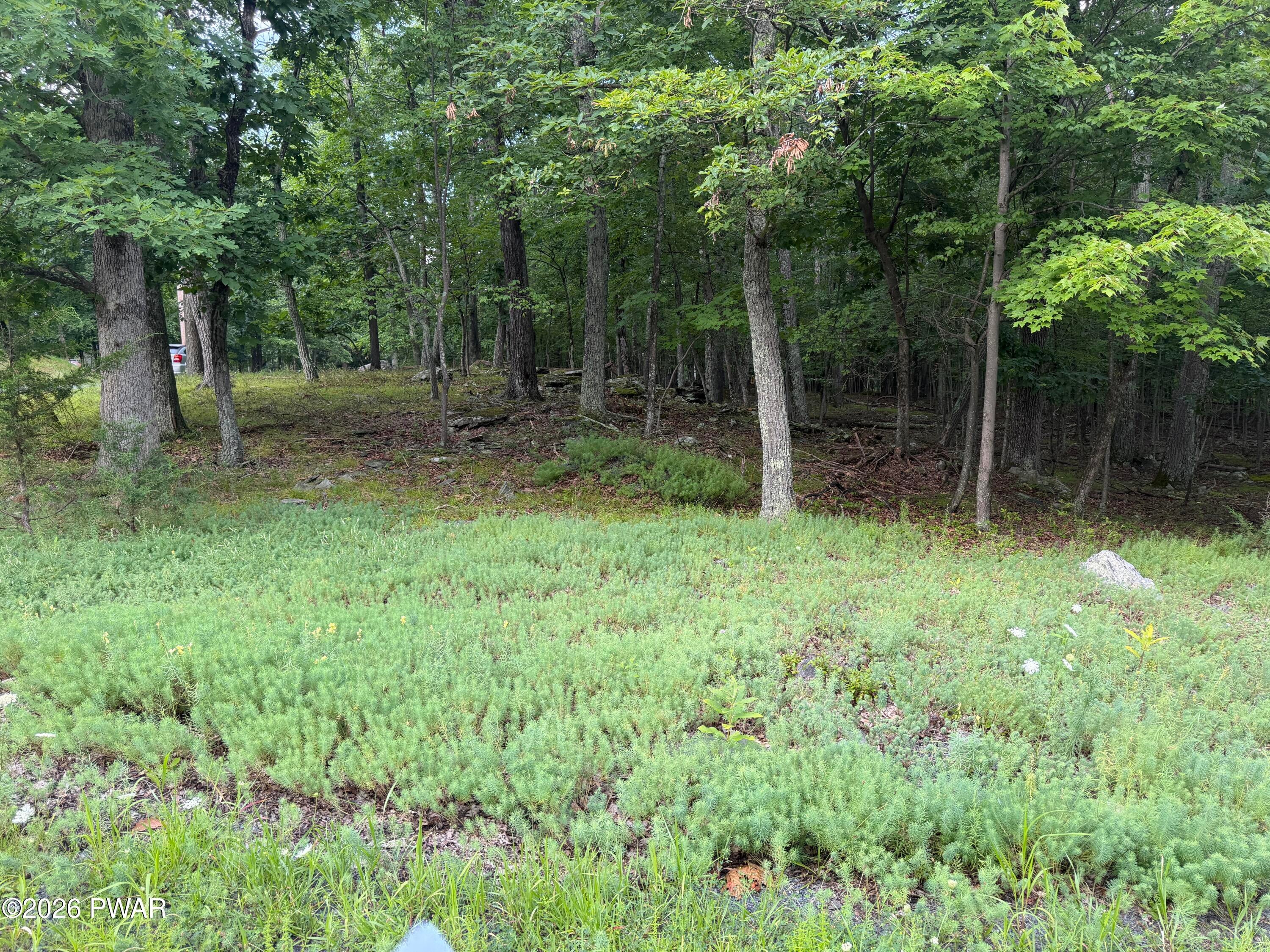 Lot 185 Gold Finch Road Bushkill, PA 18324 - Photo 7 of 11 Gallery Image 7