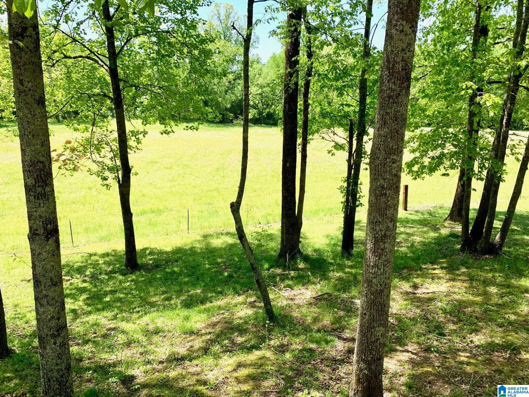 714 Old Walker Road Cleveland, AL 35049 - Photo 11 of 47