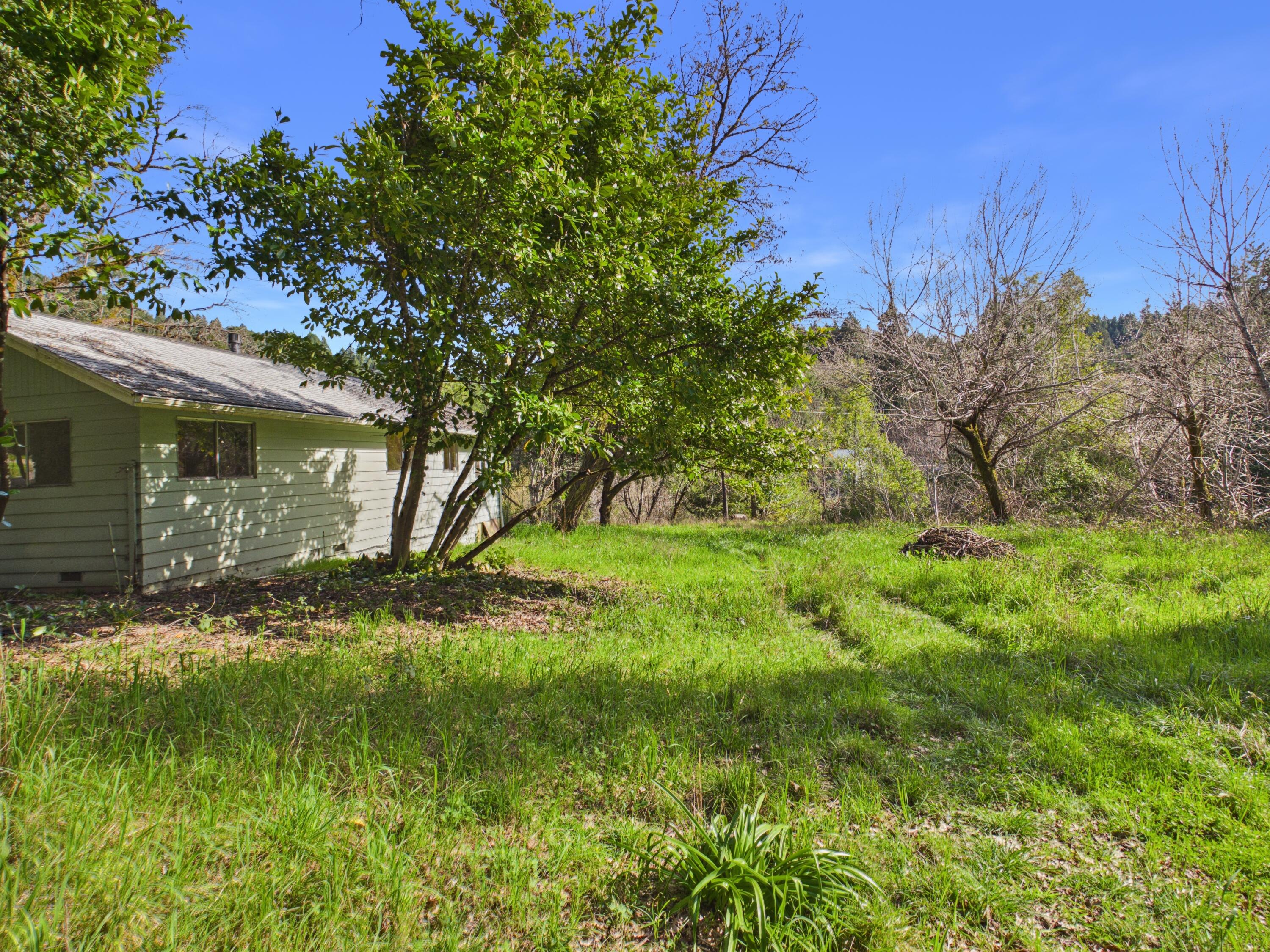 5350 Briceland Road Redway, CA 95560 - Photo 42 of 44