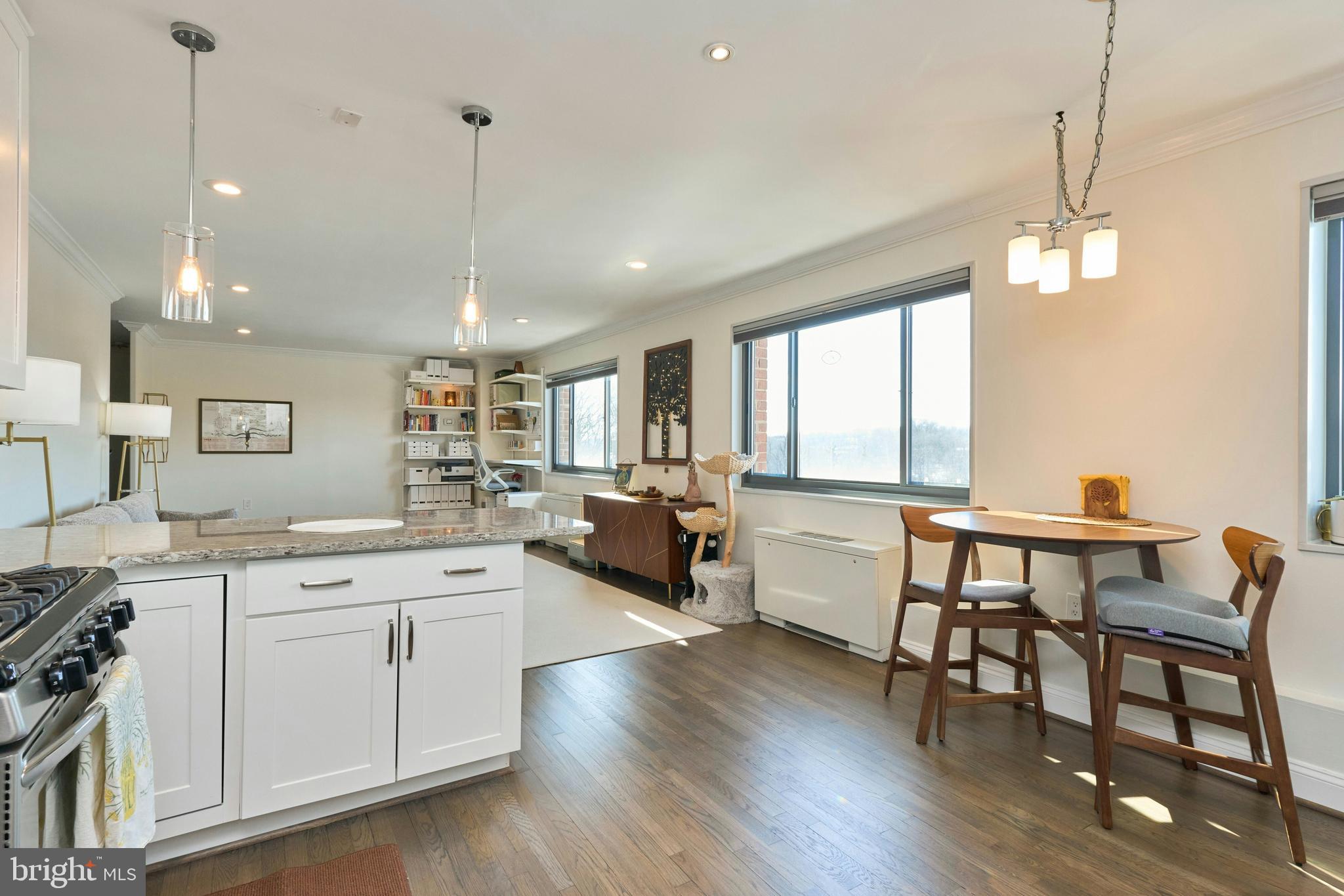 1300 South Arlington Ridge Road, Unit 504 Arlington, VA 22202 - Photo 4 of 18